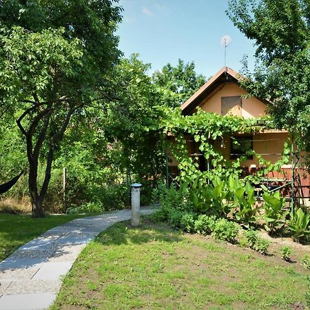 Vinarstvi Koliba Apartment Cejkovice  Exterior photo